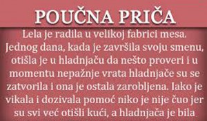 Zanimljivosti